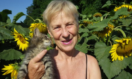 Szöszi-NET (68.) Megújult a blogom avagy mindig a fénnyel szemben