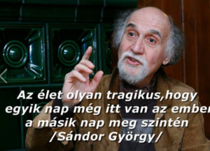 Vicc Sándor György
